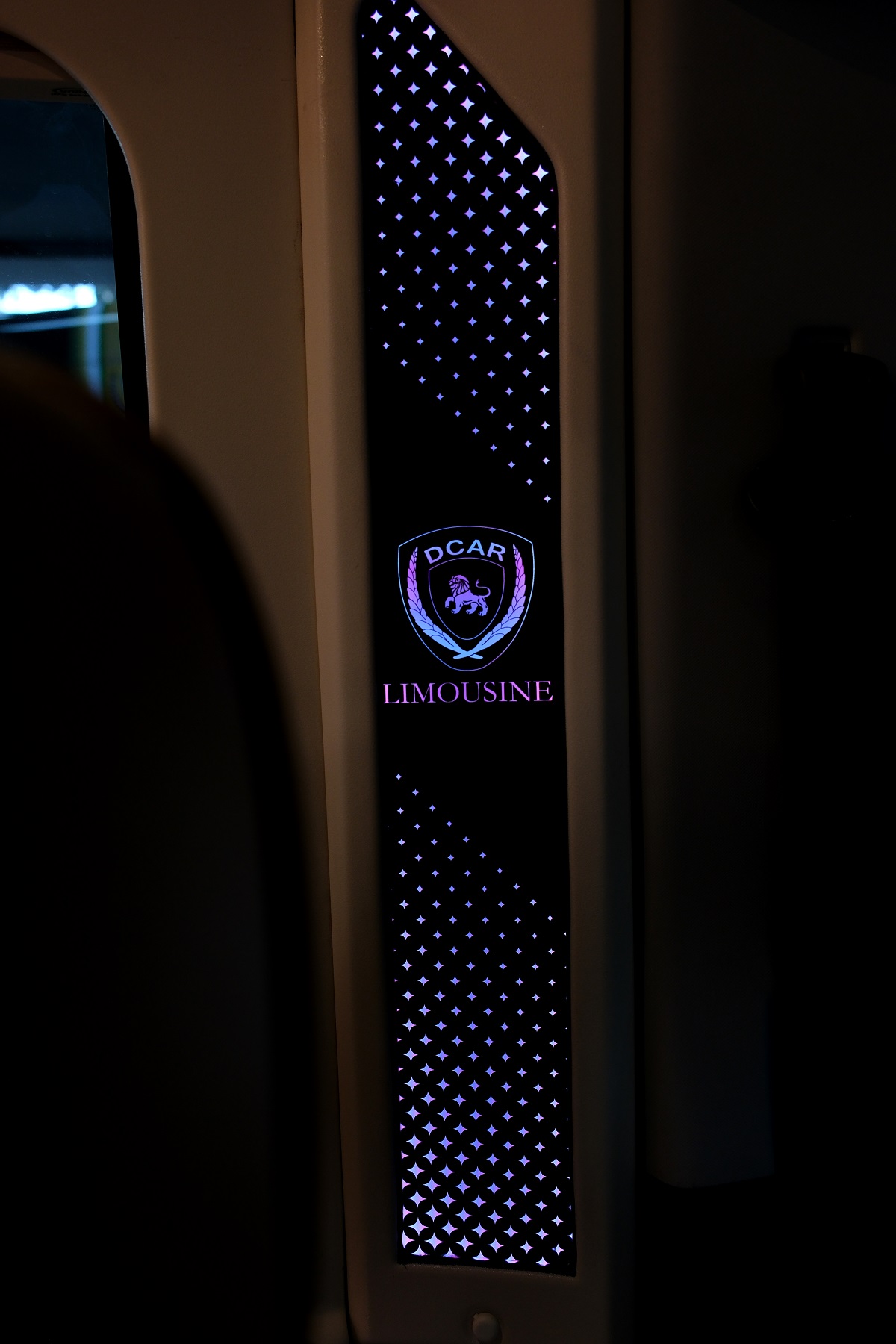 dau-tu-xe-limousine-3-1